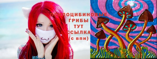 молекула духа Баксан