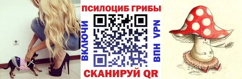 что такое наркотик  darknet Telegram  Псилоцибиновые грибы ЛСД  Нолинск 
